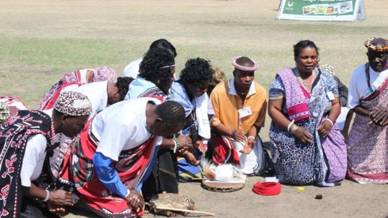 Gauteng Launches Traditional Health Practitioners’ Structure in Mogale City