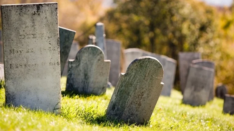 Joburg Moves to Digitise Cemetery Records to Prevent Lost Graves