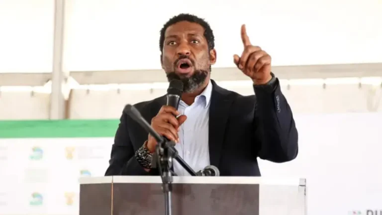 Only Half of Matric to Have Access To Tertiary Education as Manamela Pushes Skills Training