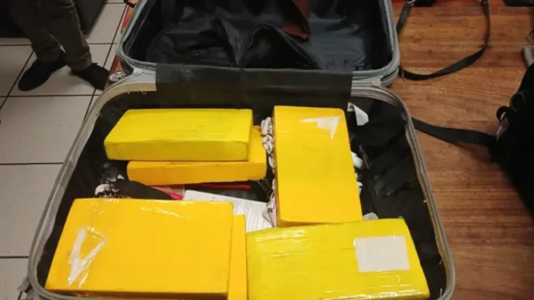 OR Tambo Drug Busts: Two Suspects Arrested Within 24 hours as Trafficking Concerns Grow