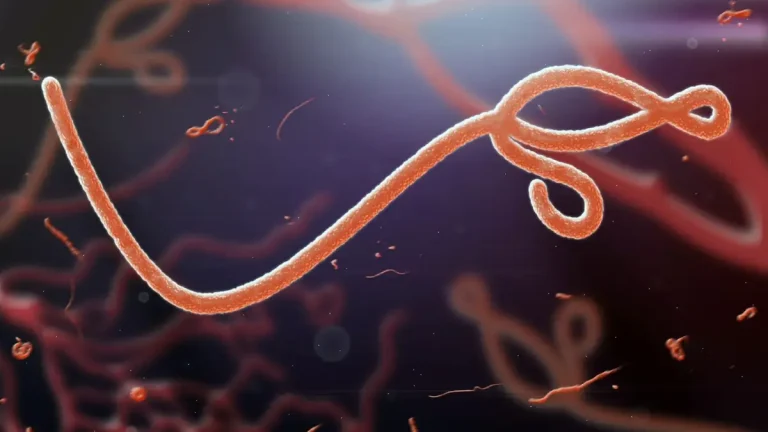 WHO Declares Ebola Emergency as Ramaphosa Calls for Continental Action WHO Declares Ebola Emergency as Ramaphosa Calls for Continental Action