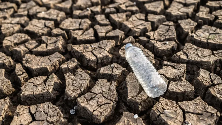 El Niño 2026: South Africa Warned of Hotter Weather, Drought and Severe Storms El Niño 2026: South Africa Warned of Hotter Weather, Drought and Severe Storms