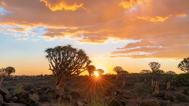 World Tourism Month 2026: Theme, Meaning and Why It Matters for Gauteng World Tourism Month 2026: Theme, Meaning and Why It Matters for Gauteng