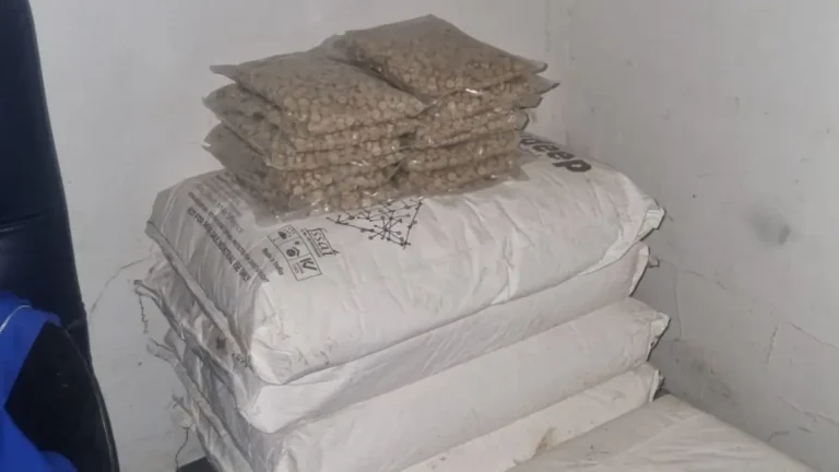 Pretoria Mandrax Lab Bust: R110 Million Drug Operation Uncovered in Gauteng Pretoria Mandrax Lab Bust: R110 Million Drug Operation Uncovered in Gauteng