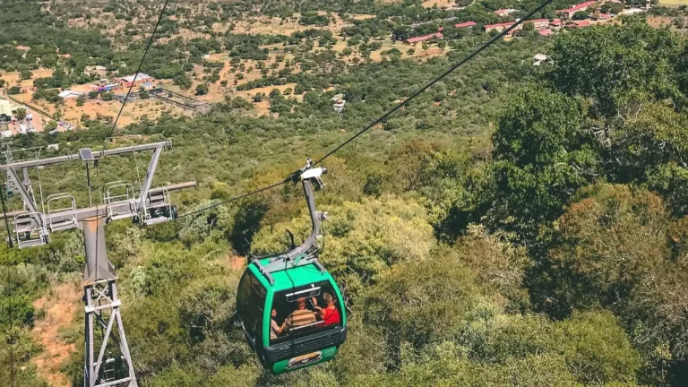 New Harties Aerial Cableway and Lion & Safari Park Tour Launches Ahead of Heritage Day 2026