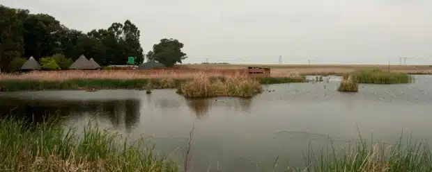 blesbo_wetlands-620x414_f378c20cbf8a107a38d1fc6271c6a457