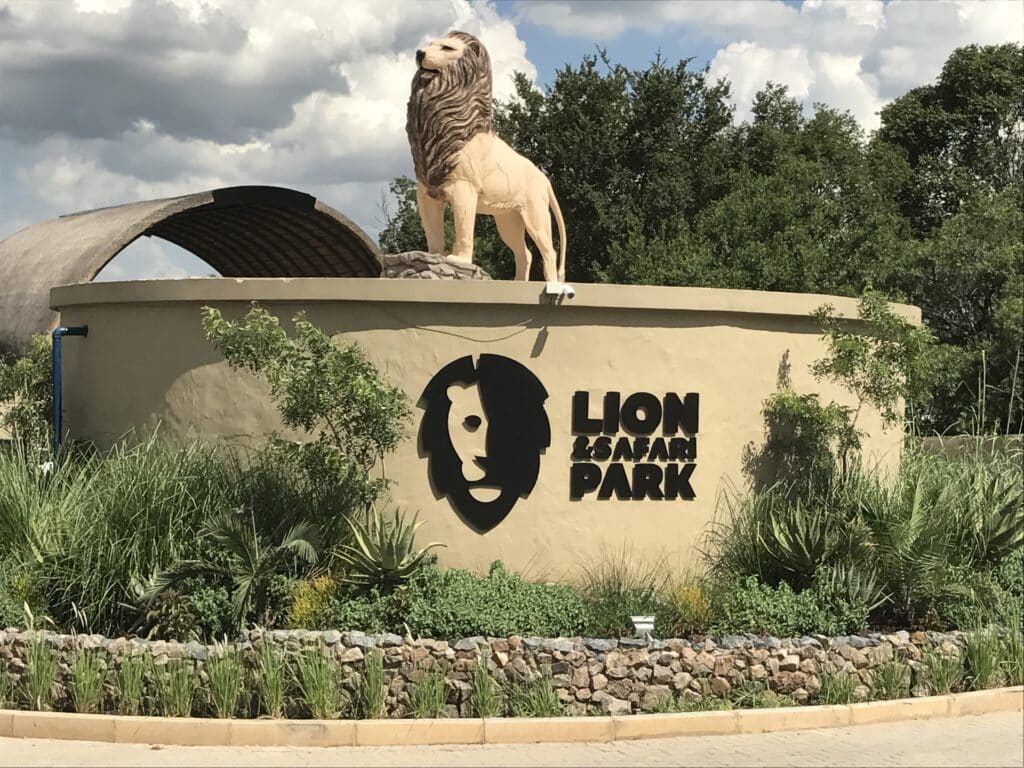 lion and safari park in johannesburg