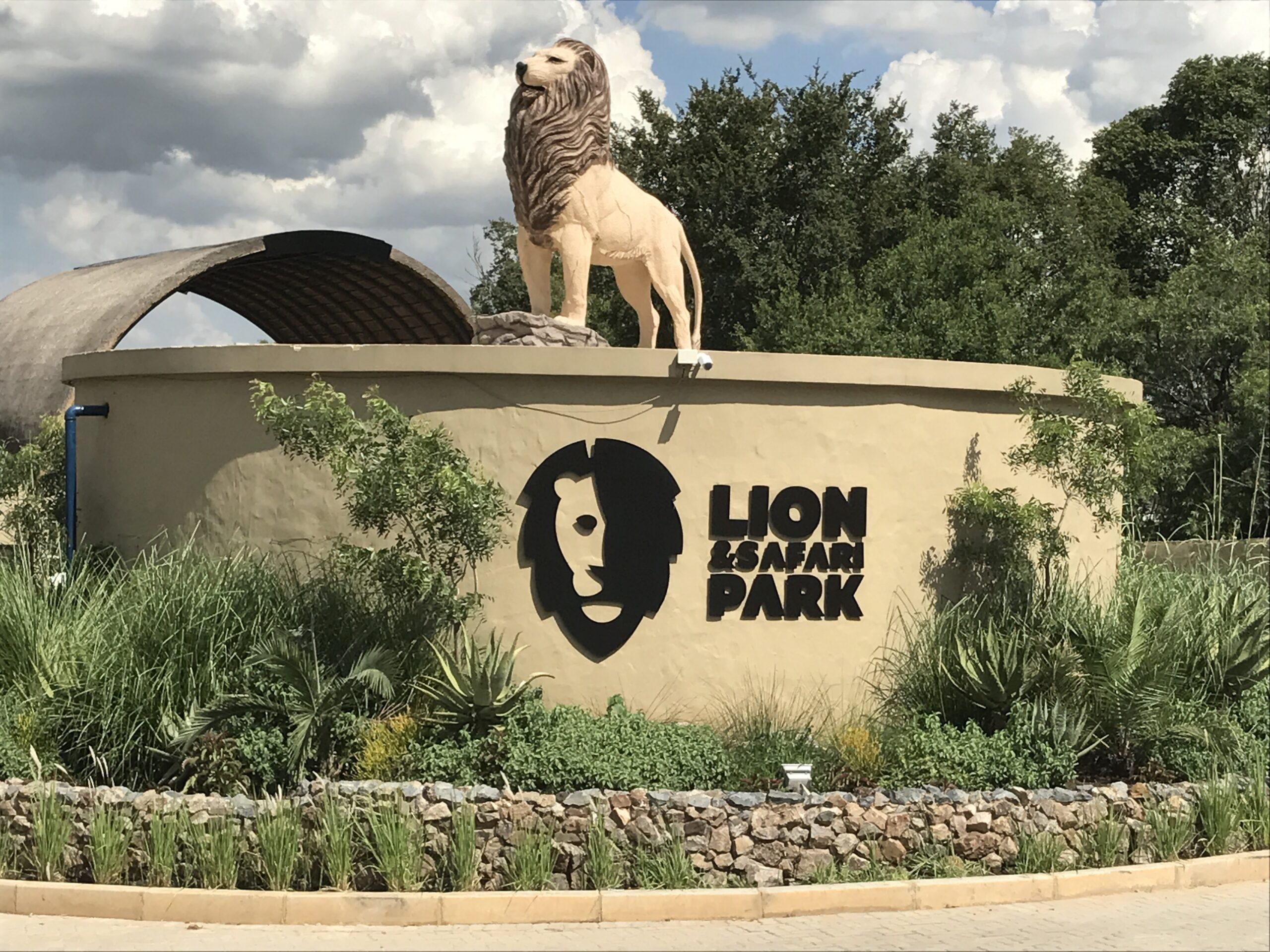 lion and safari park horse riding