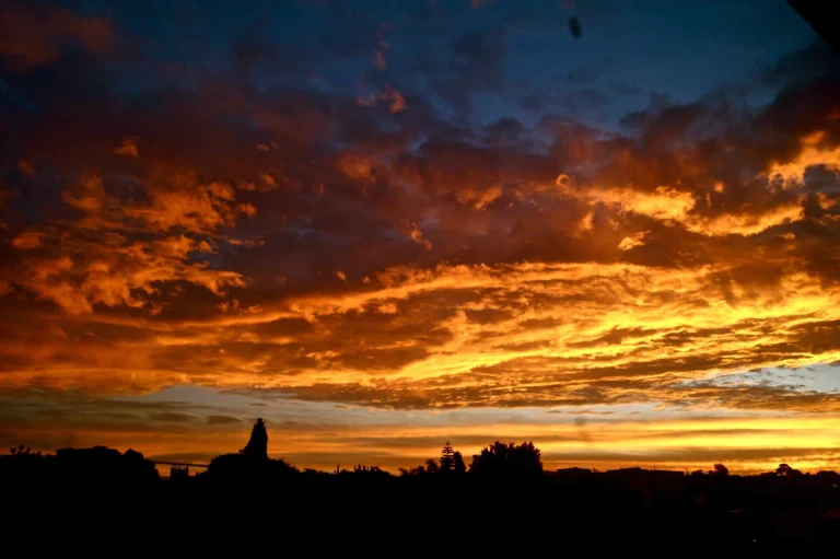 KONICA MINOLTA DIGITAL CAMERA