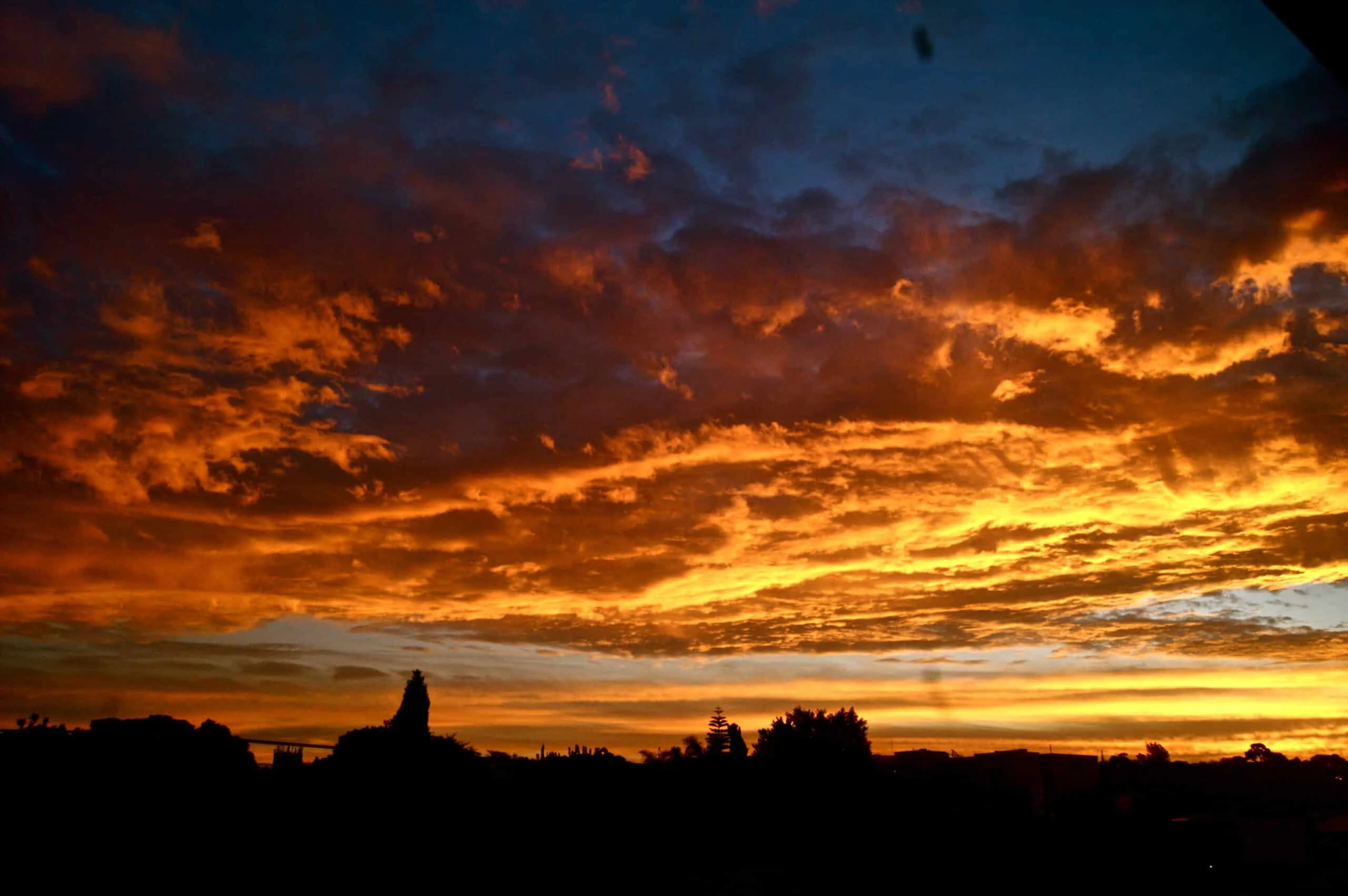 KONICA MINOLTA DIGITAL CAMERA