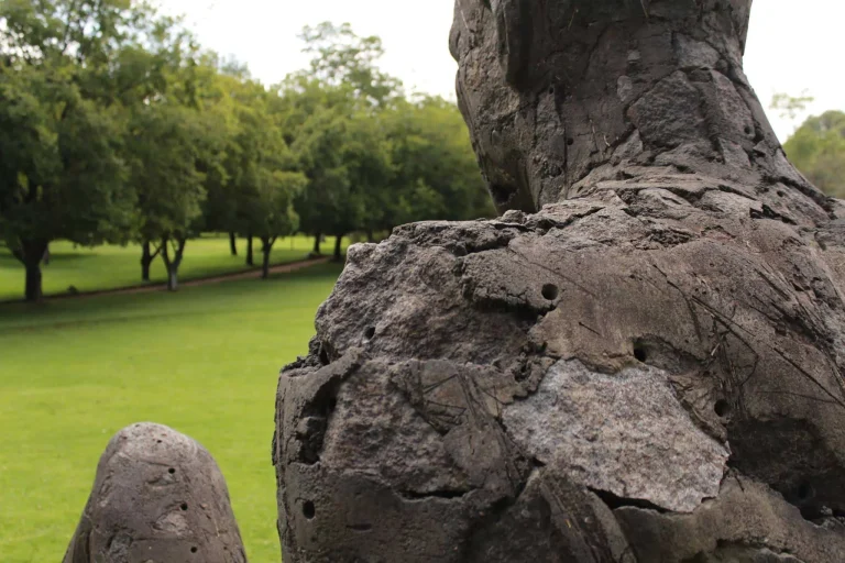 26685726_1620615341319583_6920469913325628866_o