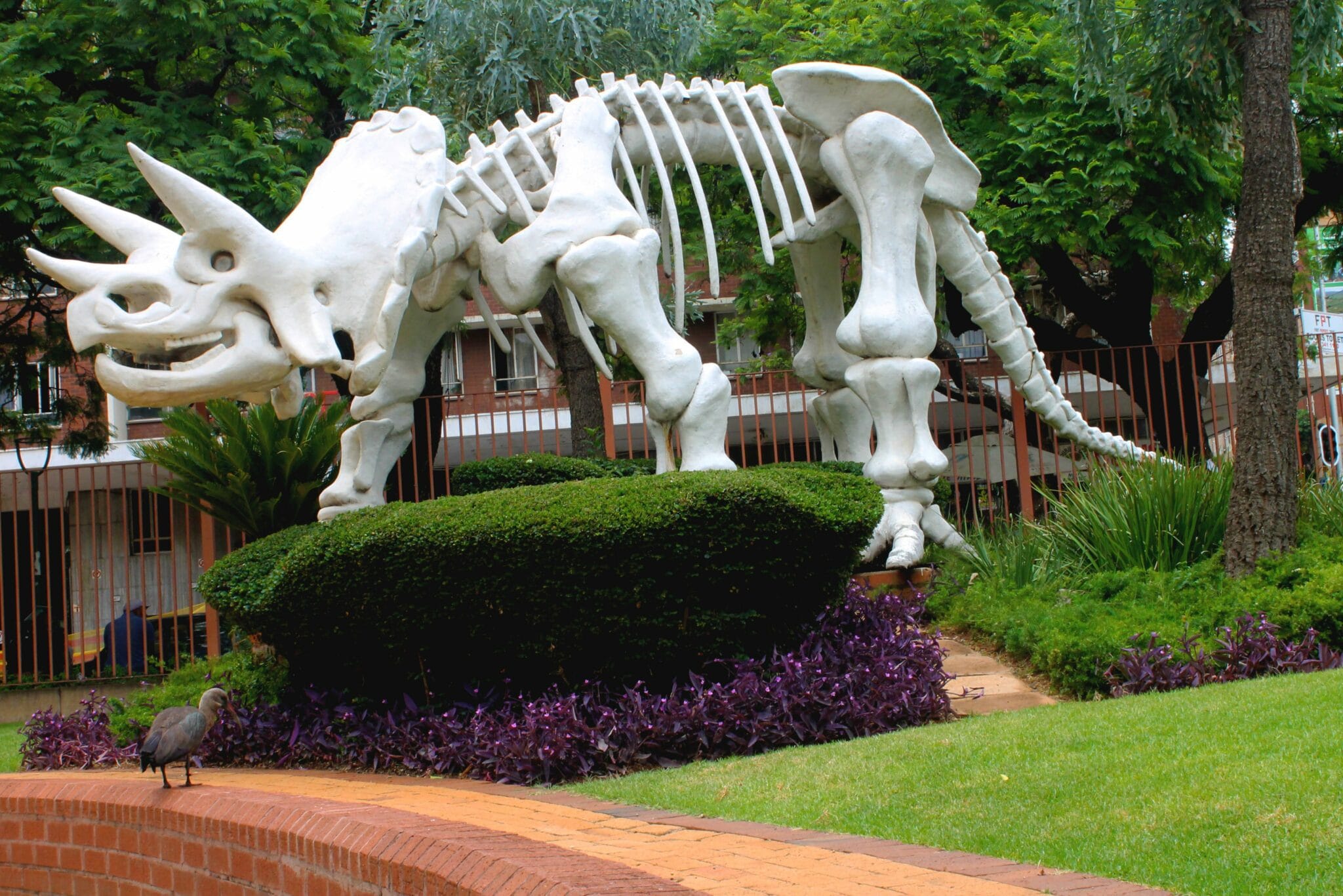 DITSONG NATIONAL MUSEUM OF NATURAL HISTORY PHOTOS ENTRANCE FEE visual data 2