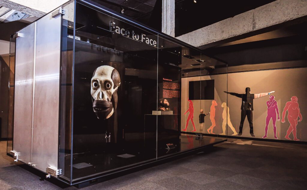 Come Face-to-Face with hominins from The Cradle of Humankind at Maropeng