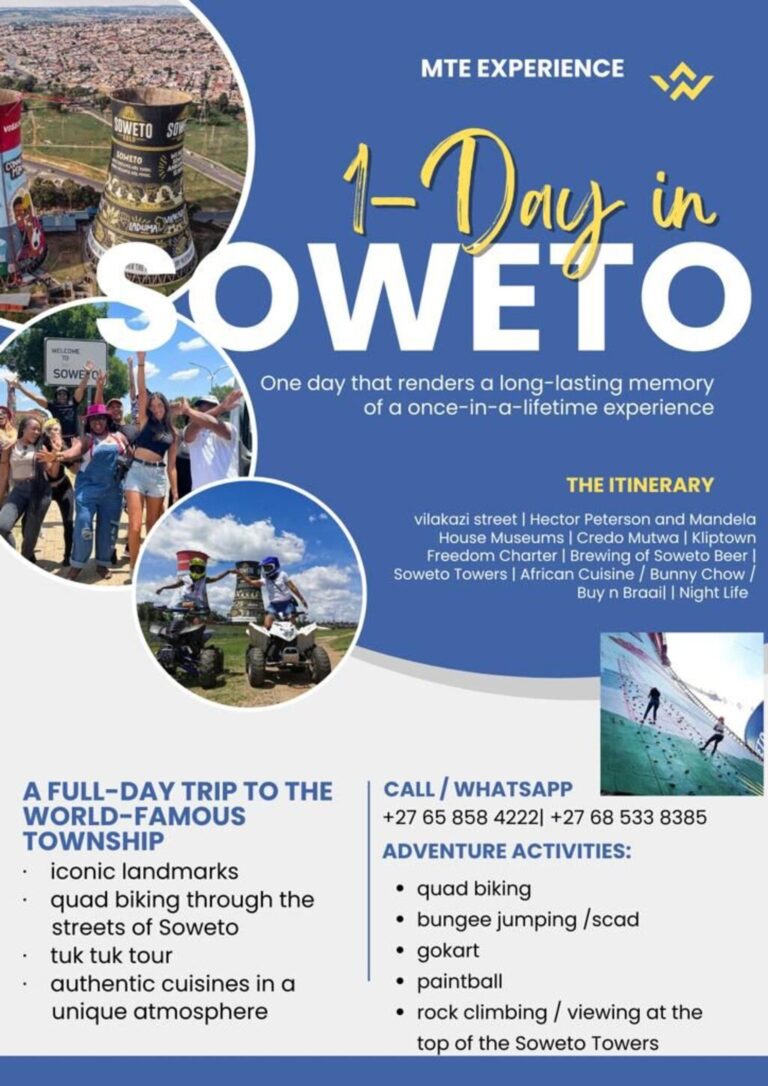 1 day in Soweto