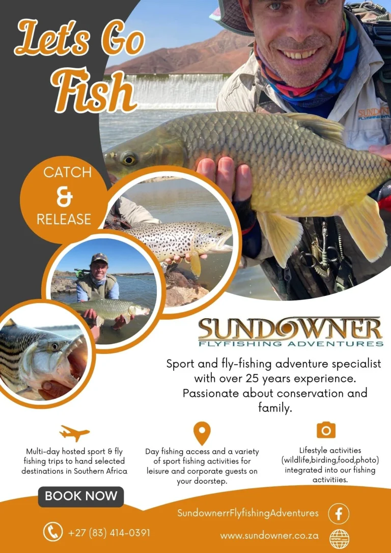 SFA Orange 2023 Flyer