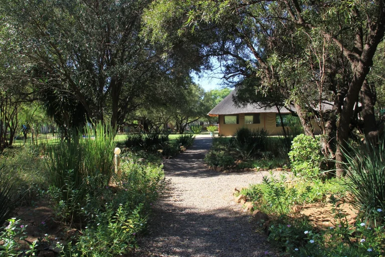 305485245_445828967571053_9064548833143747459_n