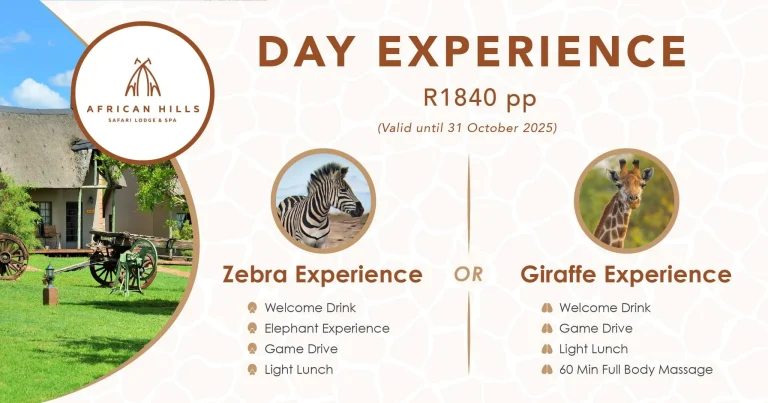 480969037_1135909468577400_4645886705308924063_n