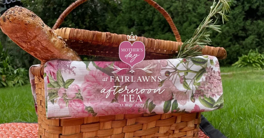 492870462_674307395321462_7254177198245127578_n