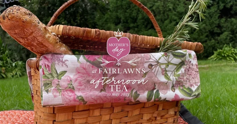 492870462_674307395321462_7254177198245127578_n