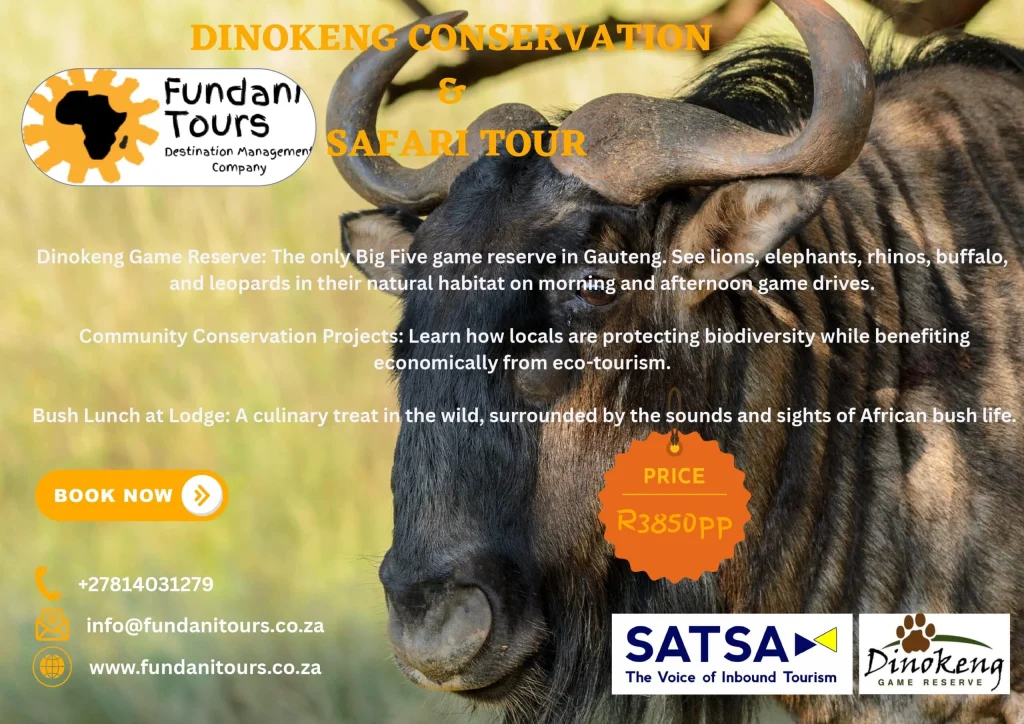 Dinokeng Tour _page-0001