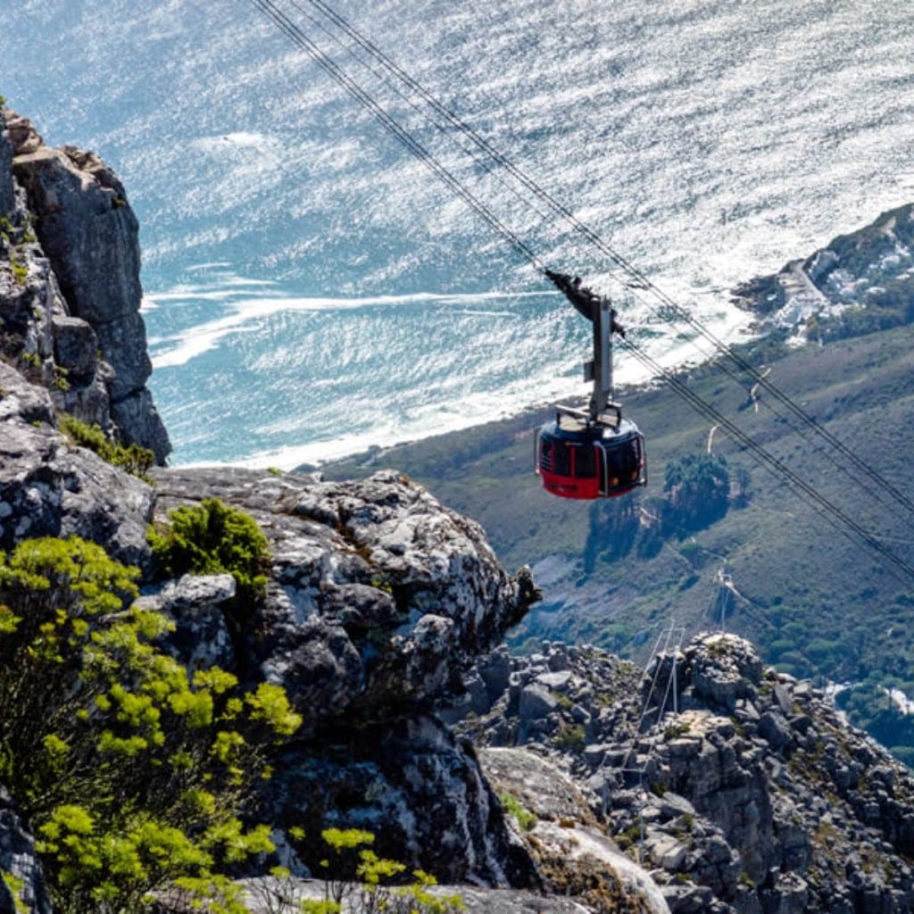 South-Africa-Gallery-9[1]