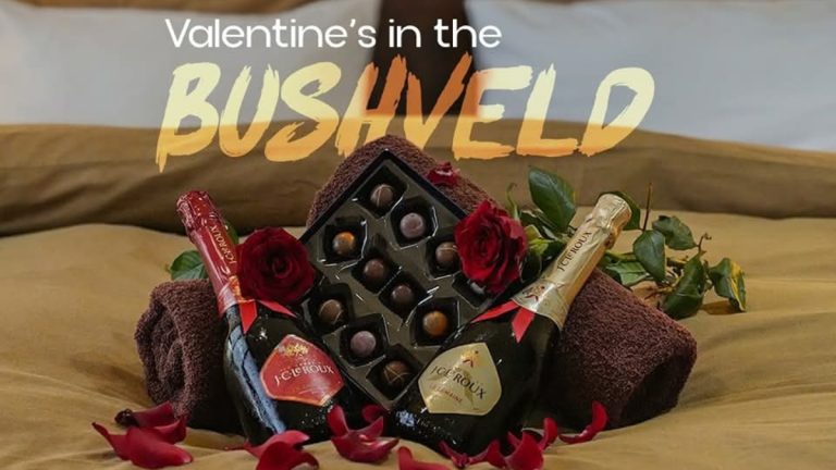 Valentine’s in the Bushveld at Lion & Cheetah Sanctuary