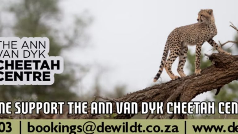 De Wildt Adventure Trails3