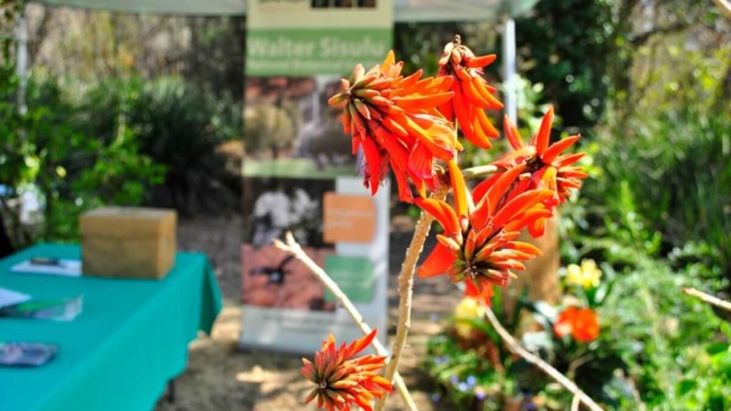 Johannesburg Botanical Gardens