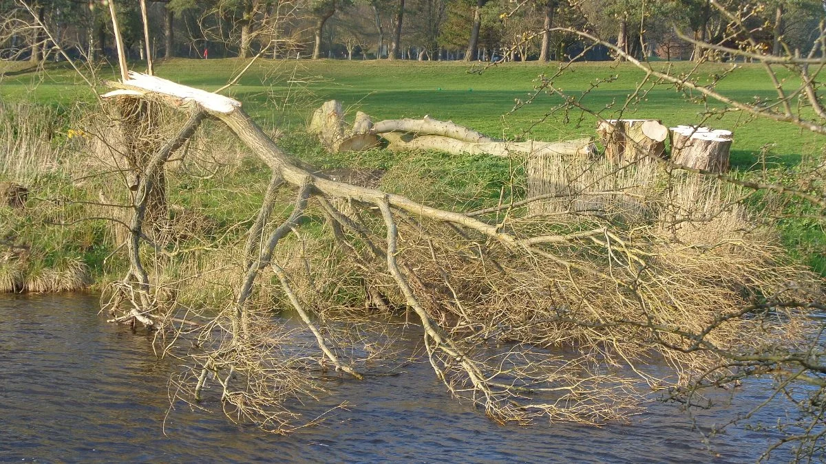 Fairway at Maccauvlei Golf Club