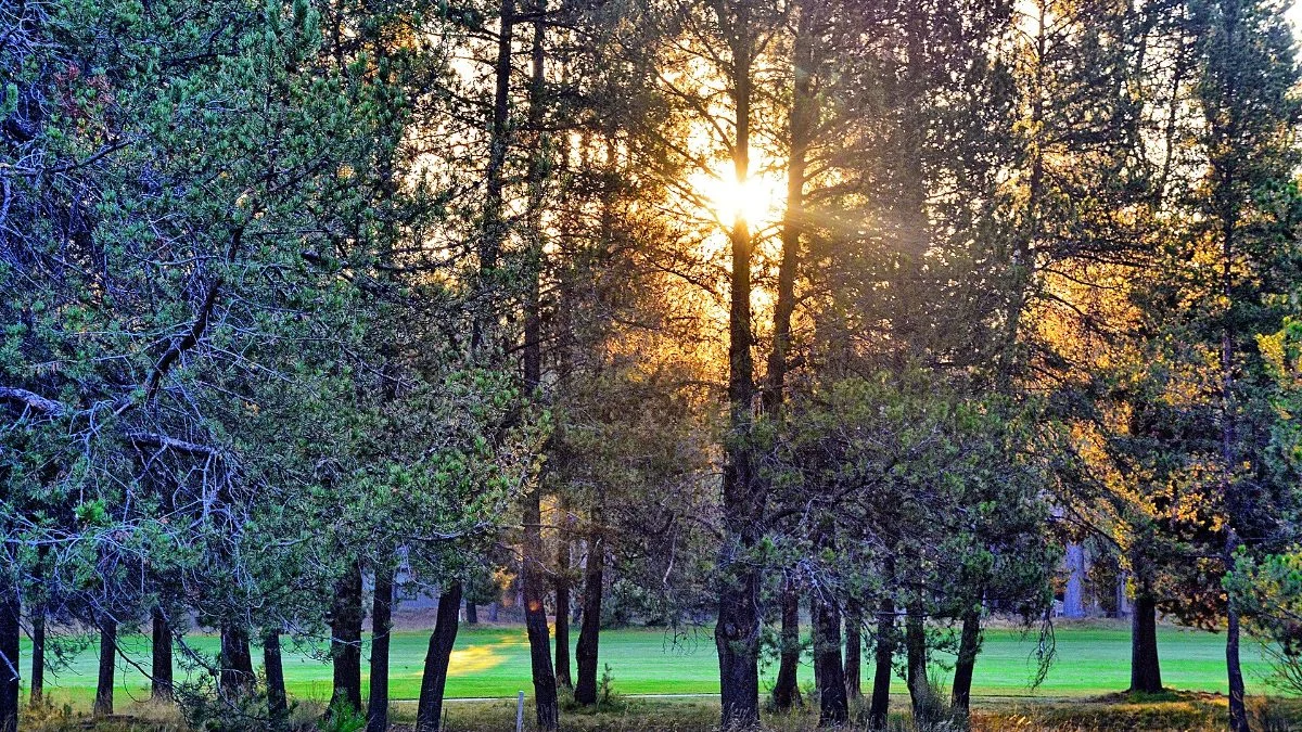 meyerton-golf-1