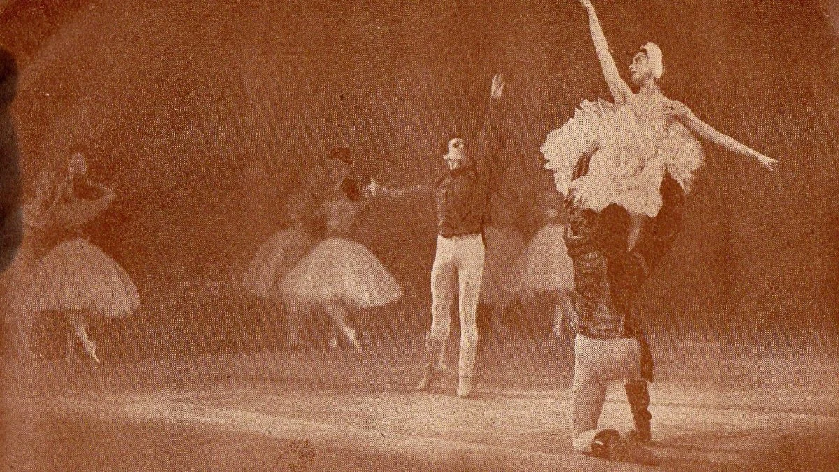 swan-lake-cape-ballet-africa